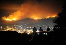 Cedar Fire – 10 years later, still like it was yesterday